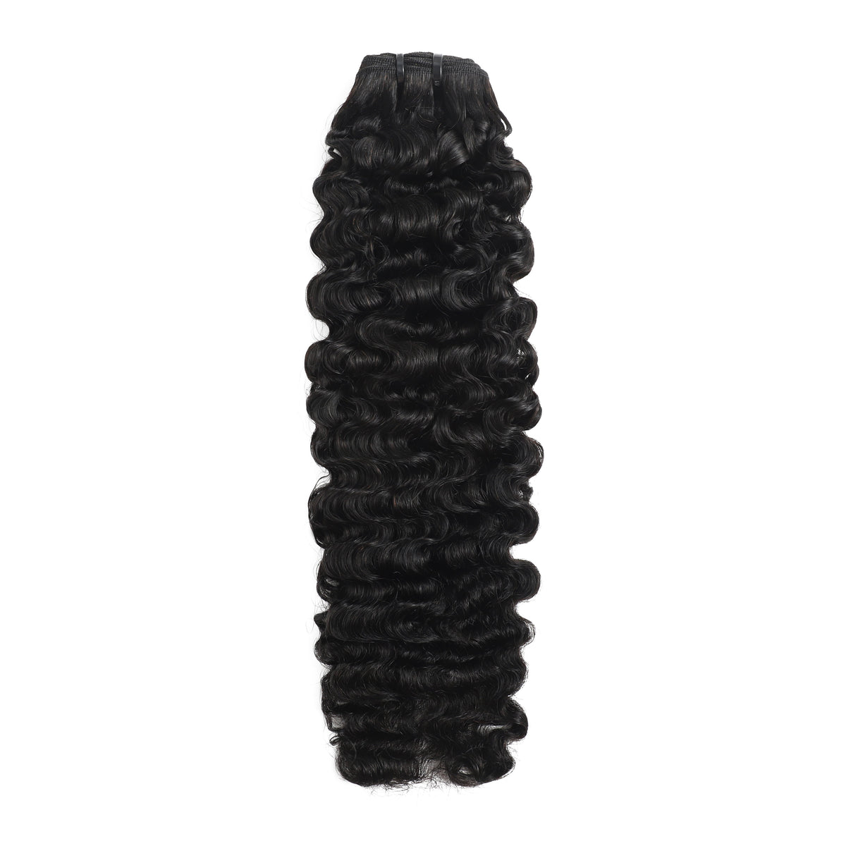 Indian Curl Bundle (Virgin)