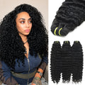 Burmese Curly Premium